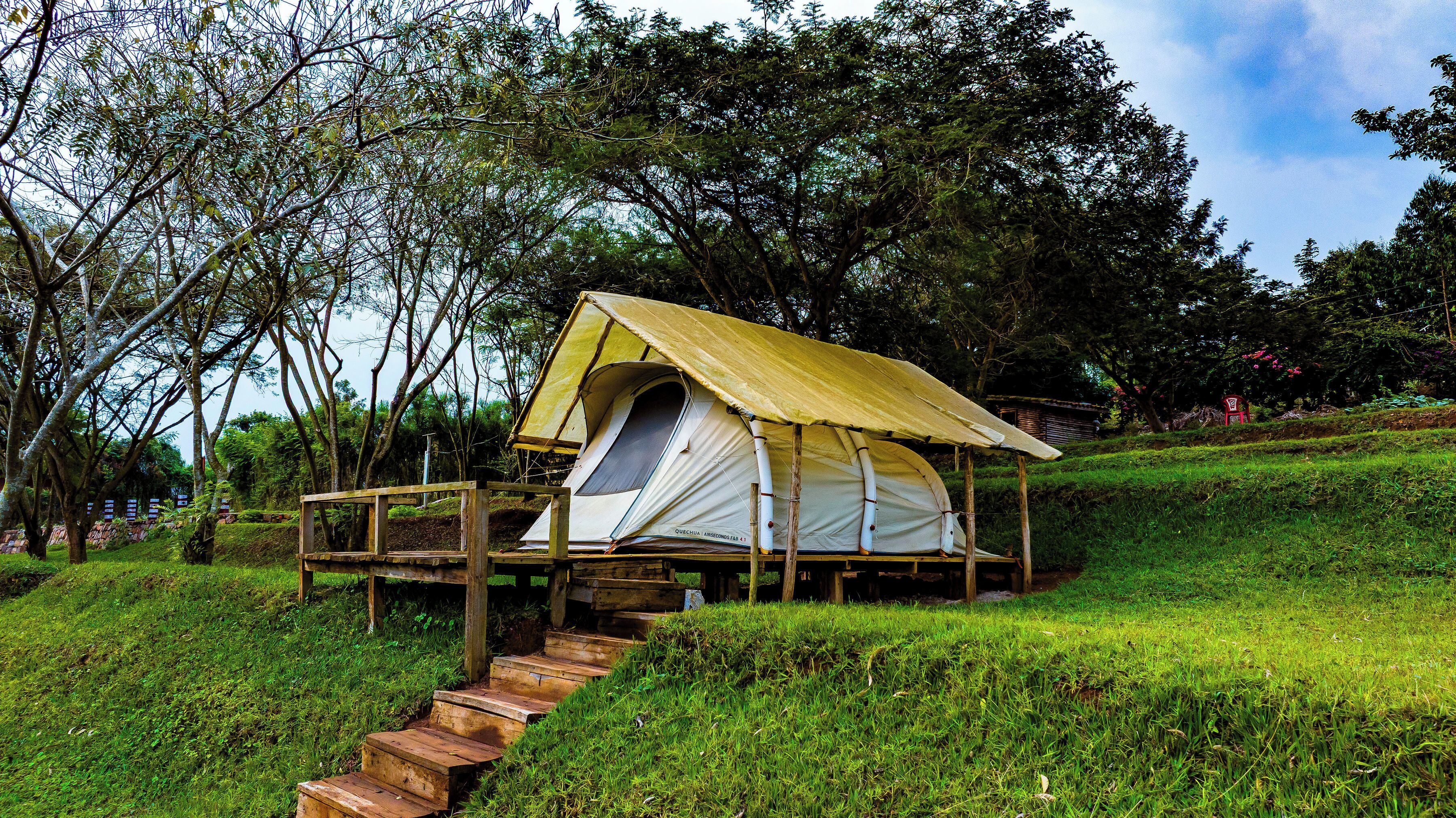 A tent with a wooden deck and stairs leading up to it, surrounded by greenery and trees.