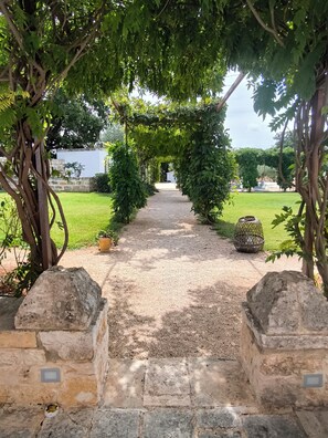 Un chemin de pierres qui traverse un jardin, avec une pergola au-dessus.