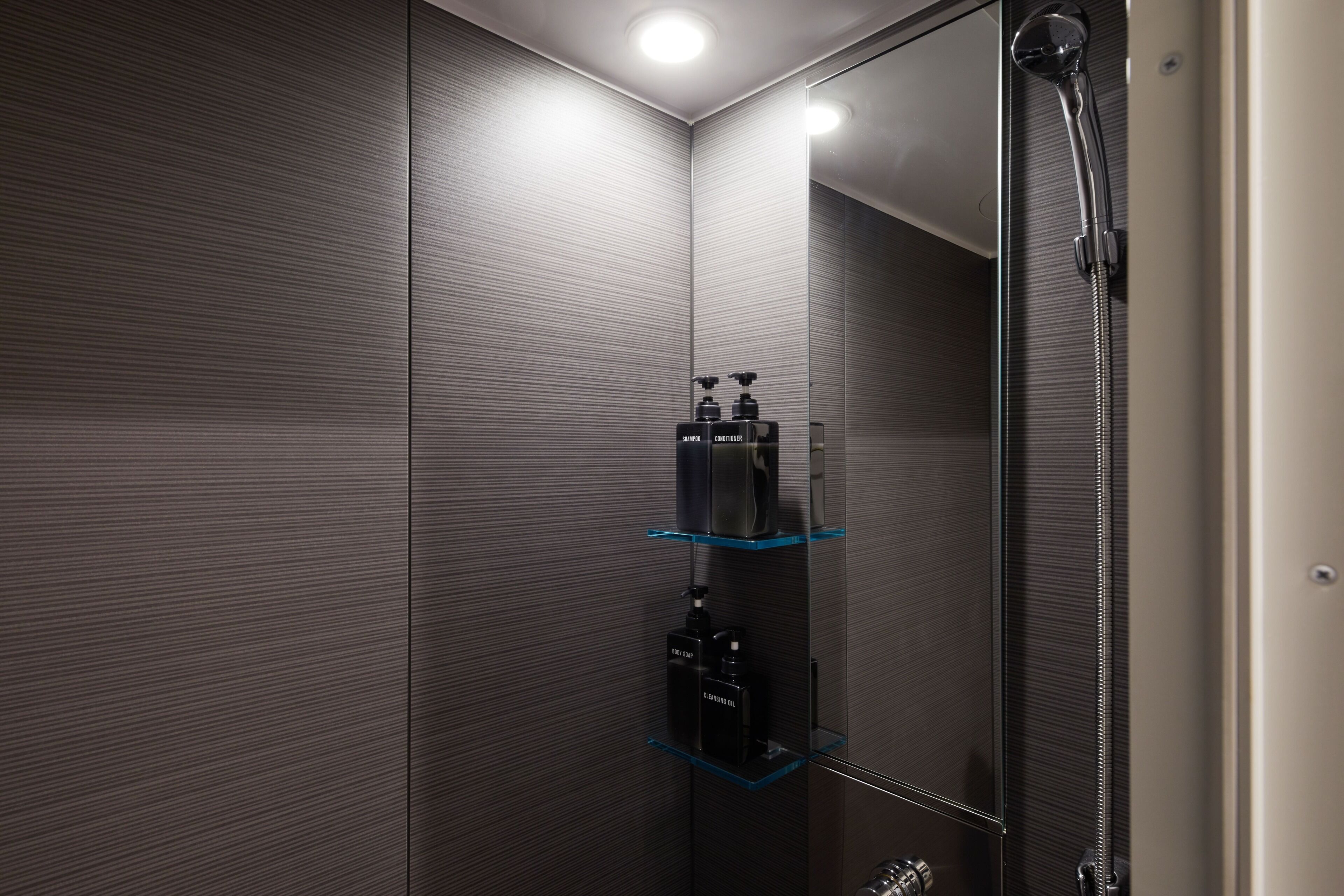 shower, free toiletries, hair dryer, electronic bidet