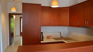 Coffee/tea maker, fridge, microwave, oven - Best House, Sea View Apartment, Pylos (Pilos)