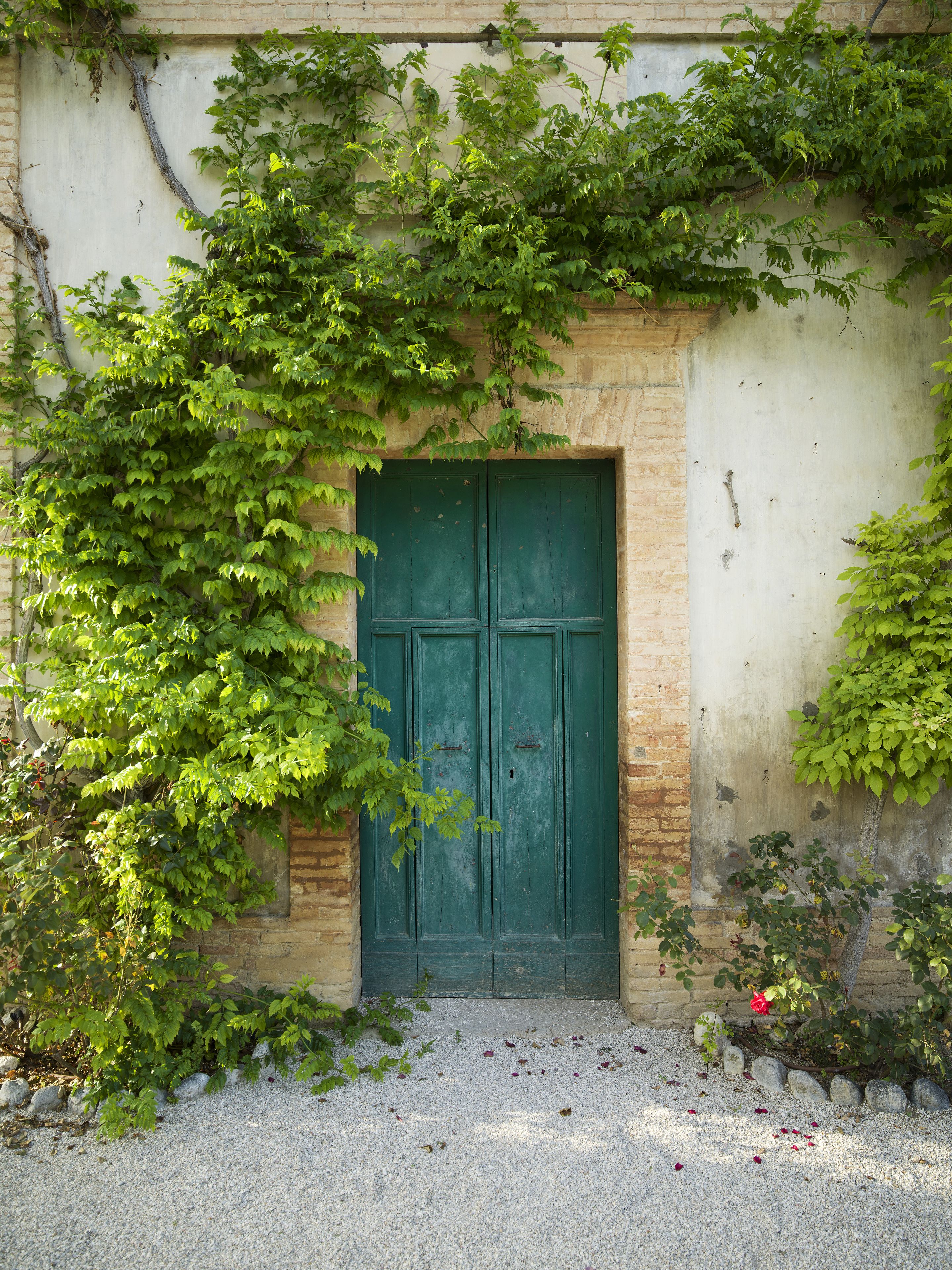 A green door with a brick wall and overgrown vegetation.