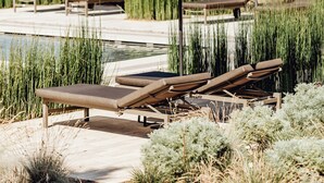 Zona de piscina con sillas de descanso y sombrillas, rodeada de vegetación y un árbol grande.