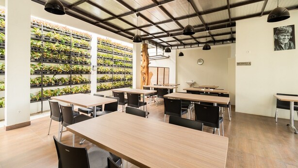 Een moderne klaslokaal met houten tafels en zwarte stoelen, een grote plantenwand en een plafond met zichtbare balken.