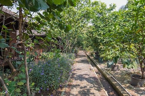 Tuin