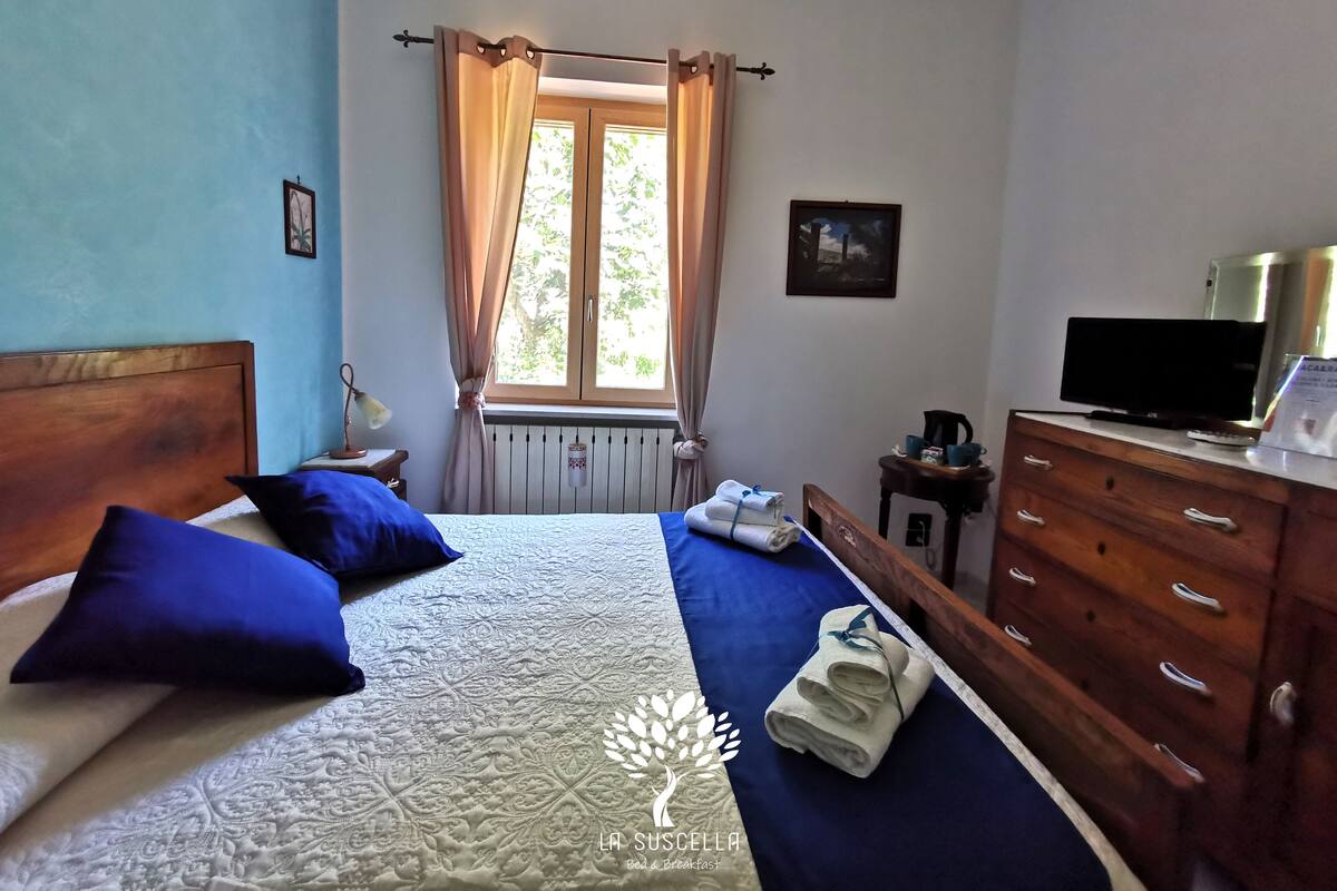 A bedroom with a bed, a dresser, a television, and a window with curtains.