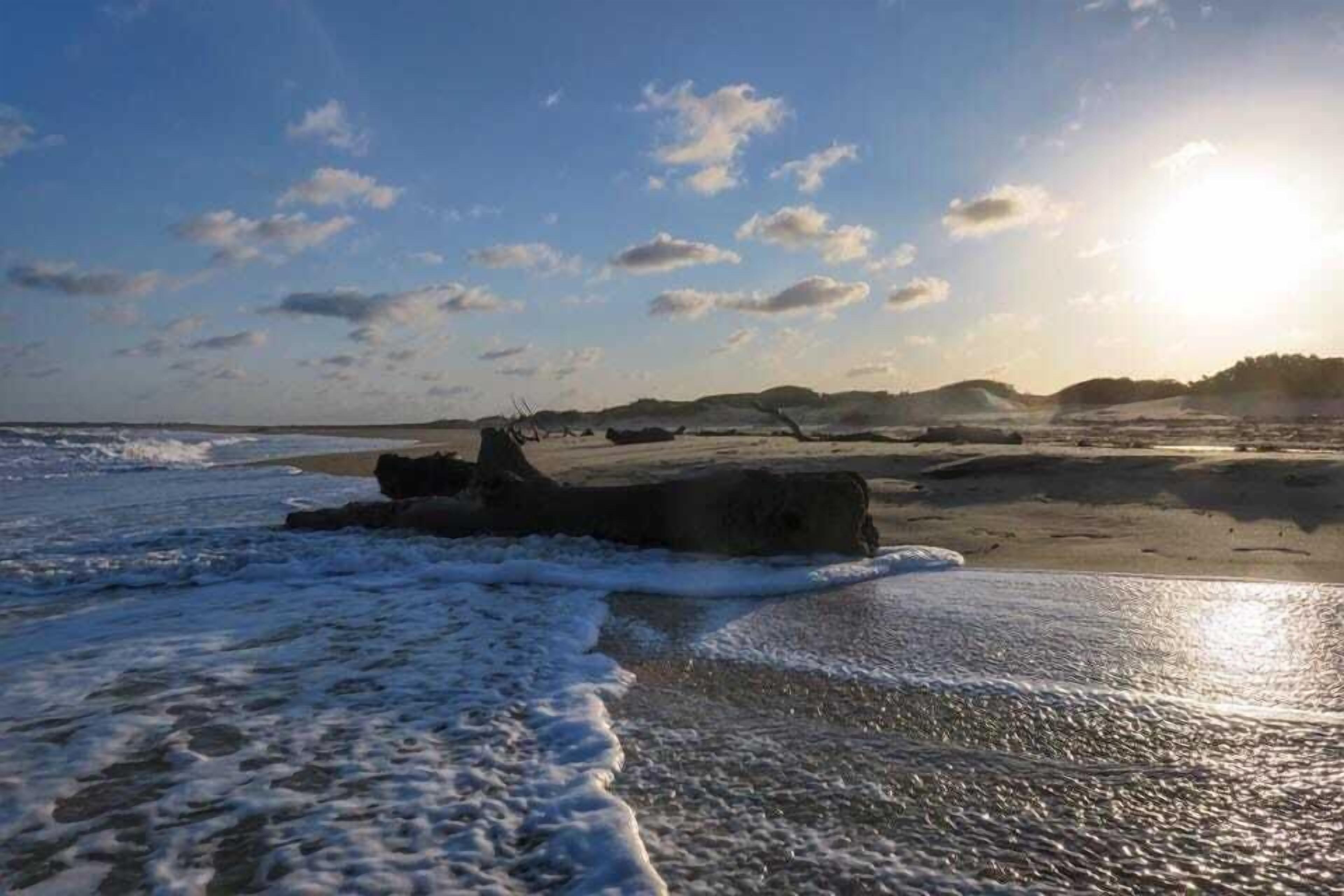 Strand
