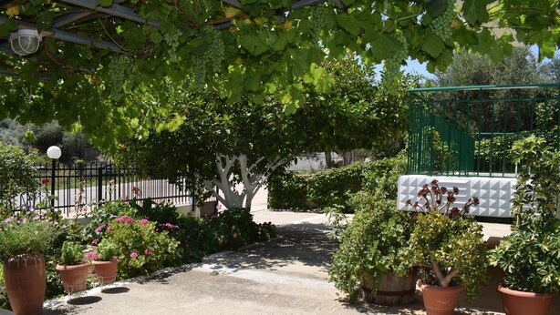 A garden area with potted plants, a white chair, and a pathway. - Apartments Rania (Nafplio)