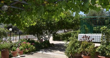 Apartments Rania