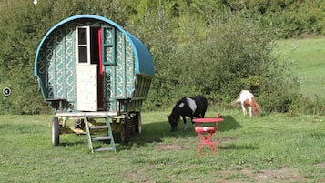 Wooden Caravan Gypsy | Blackout drapes, iron/ironing board, free WiFi, bed sheets