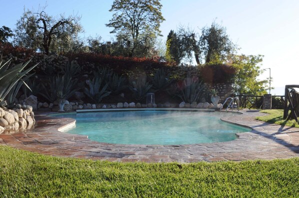 Seasonal outdoor pool, pool loungers