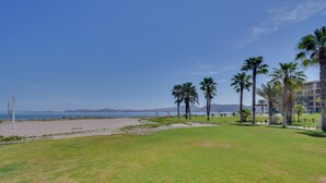 Een gazon met palmbomen en een strand in de verte.