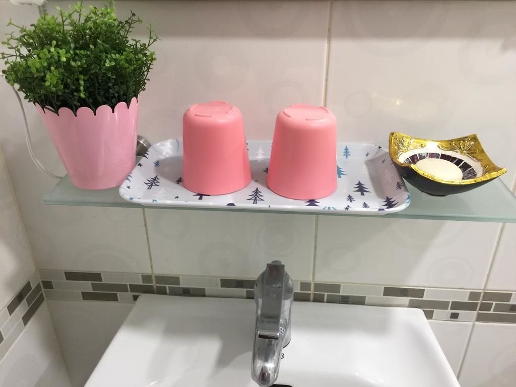 Un baño con un lavamanos blanco, una planta rosa y tres dispensadores de jabón rosas sobre una estantería de cristal.