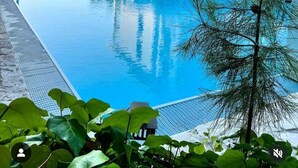 A swimming pool with lounge chairs and umbrellas, surrounded by greenery. - Biancopineta B&B (San Salvo)