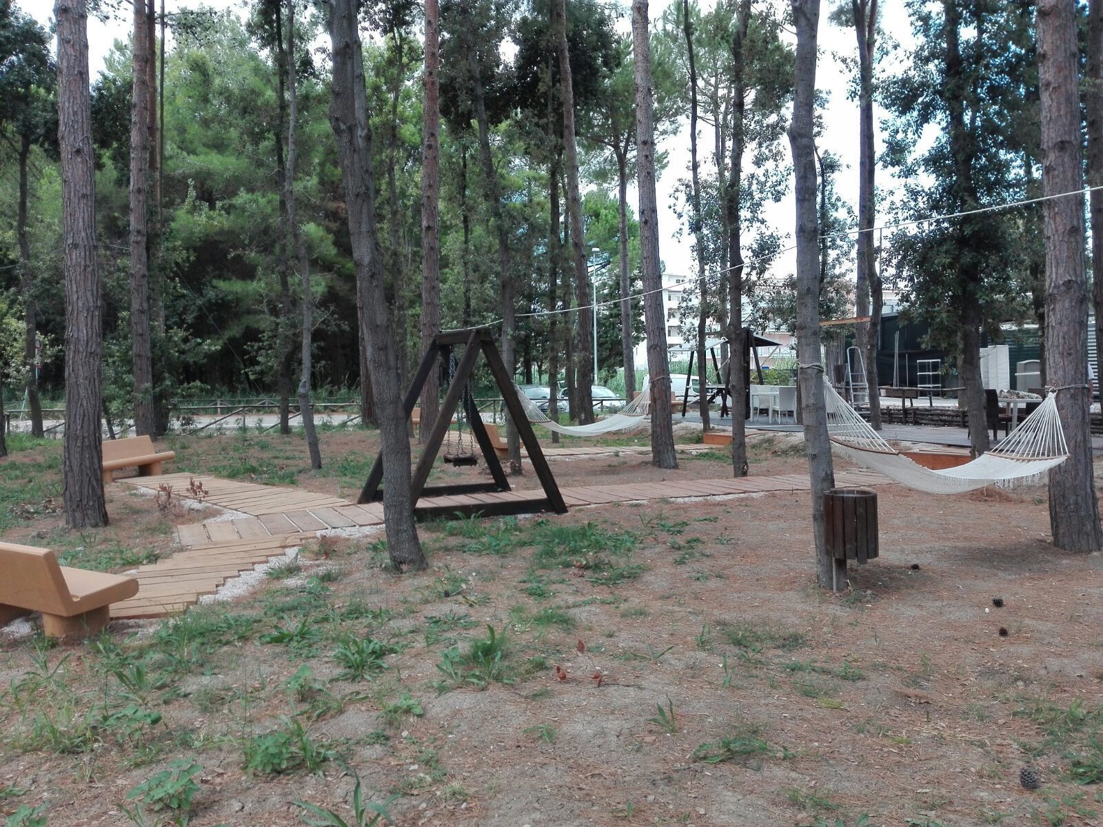 Un área boscosa con un columpio de madera, mesas de picnic y una hamaca.