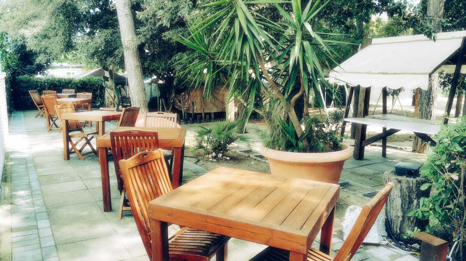 Un patio con mesas y sillas de madera, rodeado de plantas en macetas y árboles.
