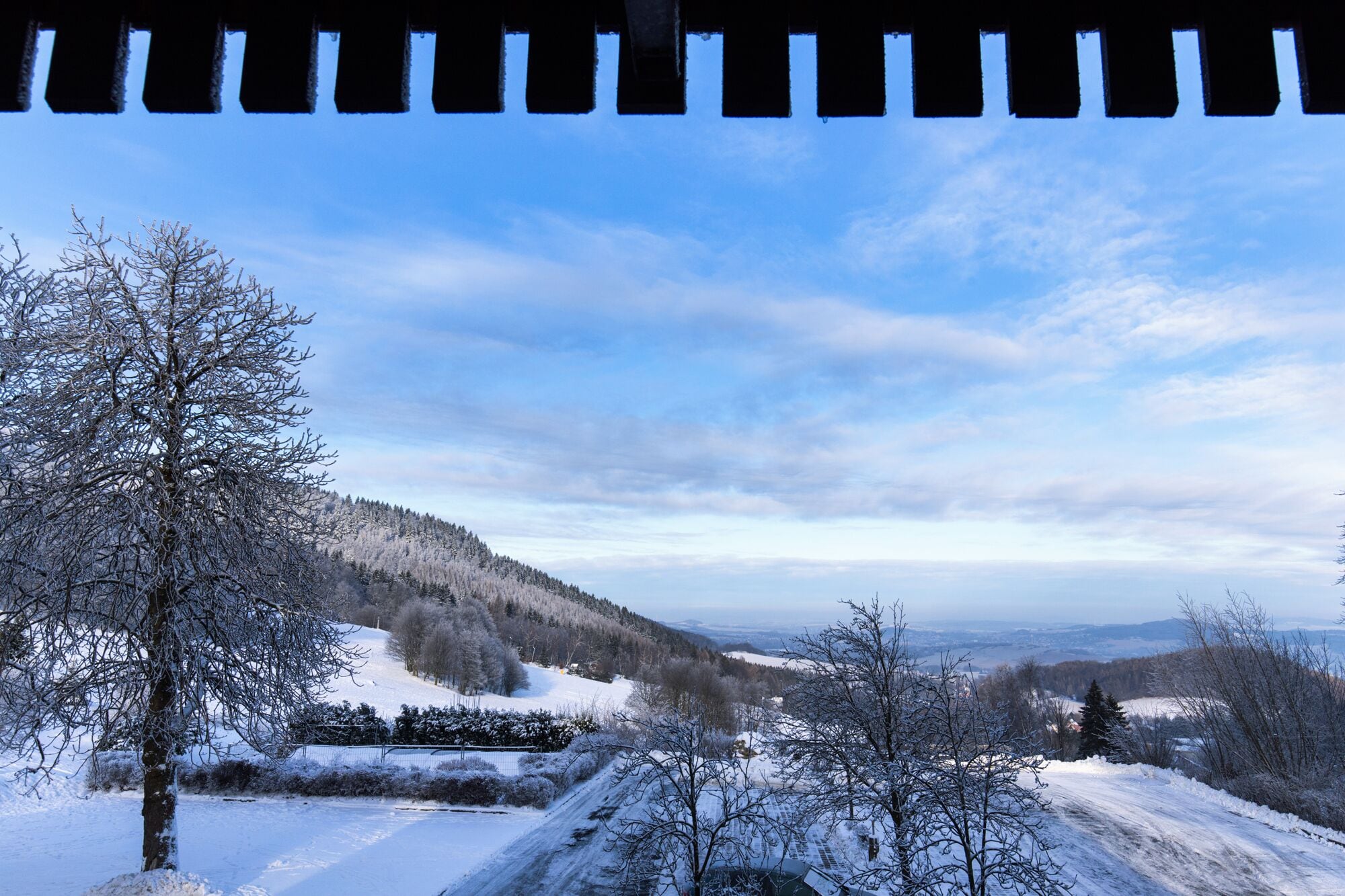 A snowy landscape with a clear sky, a tree in the foreground, and a distant view of a valley.