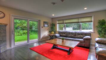 Télévision, cheminée, lecteur de DVD, médiathÚque