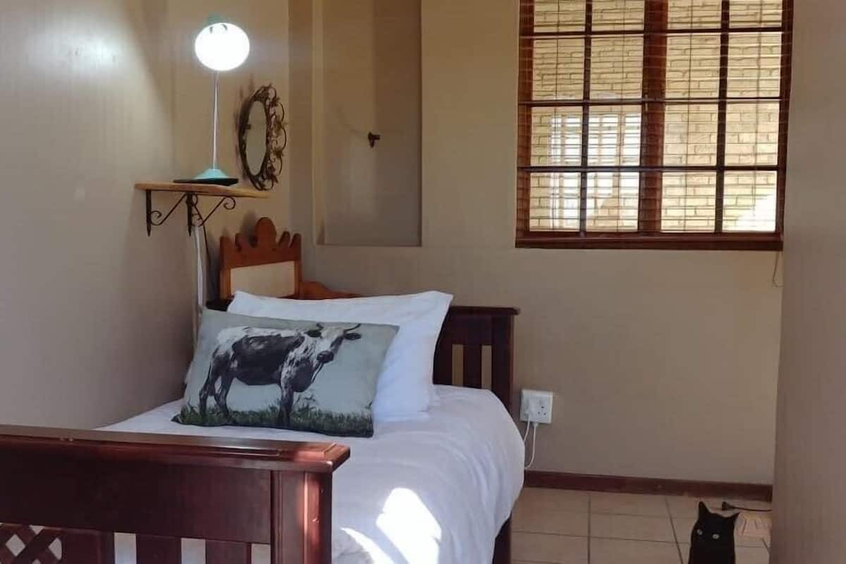 A bedroom with a bed, a bedside lamp, a window with blinds, and a cat on the floor.