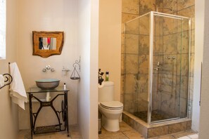 A bathroom with a glass-enclosed shower, a sink with a bowl, a toilet, and a mirror with a wooden frame. - The Fat Mulberry Guesthouse (Fouriesburg)