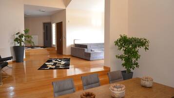 Villa | Living area | Flat-screen TV, video game console, Netflix, DVD player
