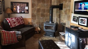 Un salon chaleureux avec une cheminée, un téléviseur et une photo encadrée accrochée au mur.