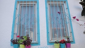 Deux fenêtres dotées de cadres bleus et de barreaux en métal, chacune ornée de plantes en pot aux couleurs vives.