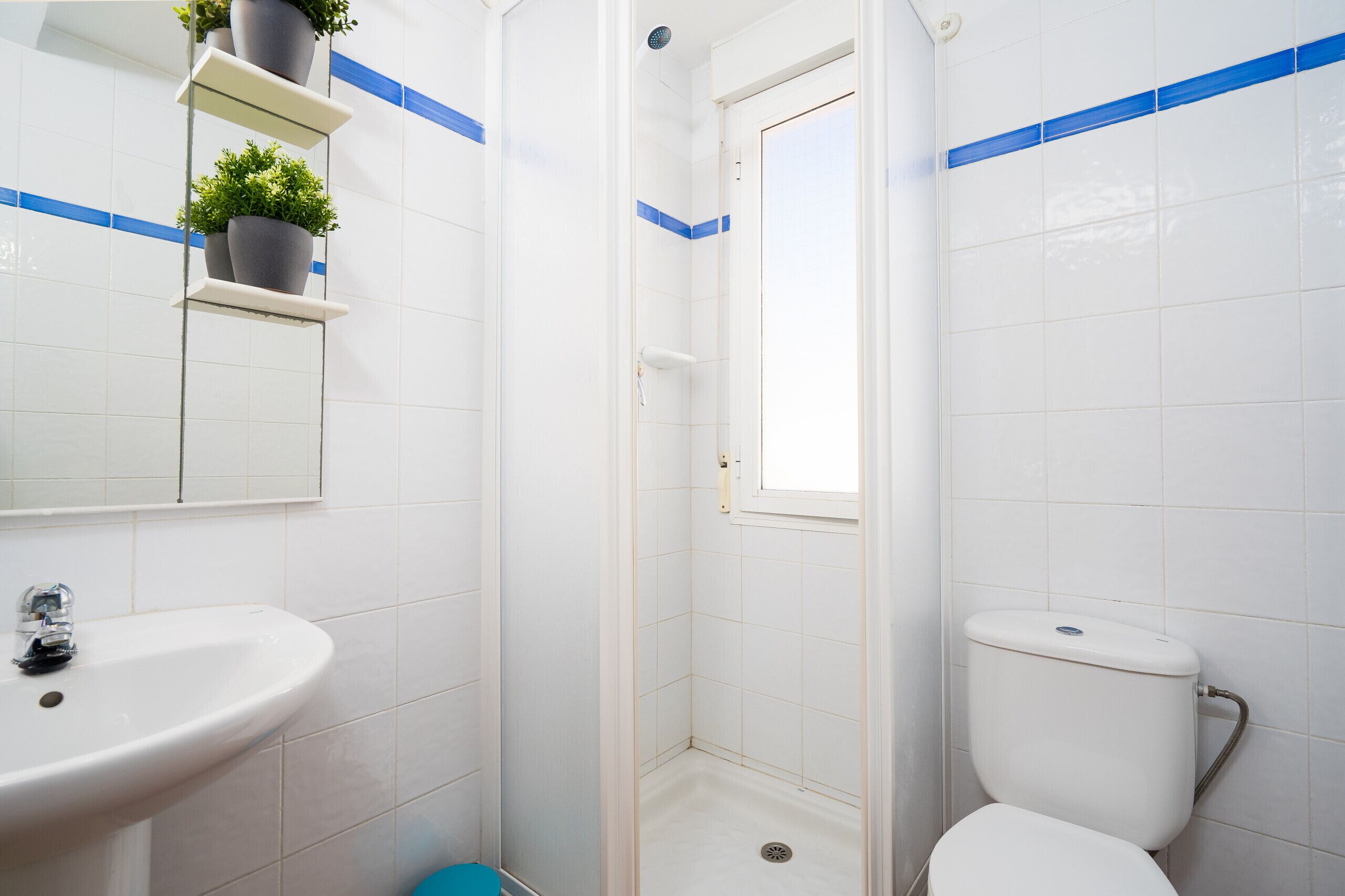 A bathroom with a white sink, a toilet, and a shower. There are potted plants on a shelf above the sink.