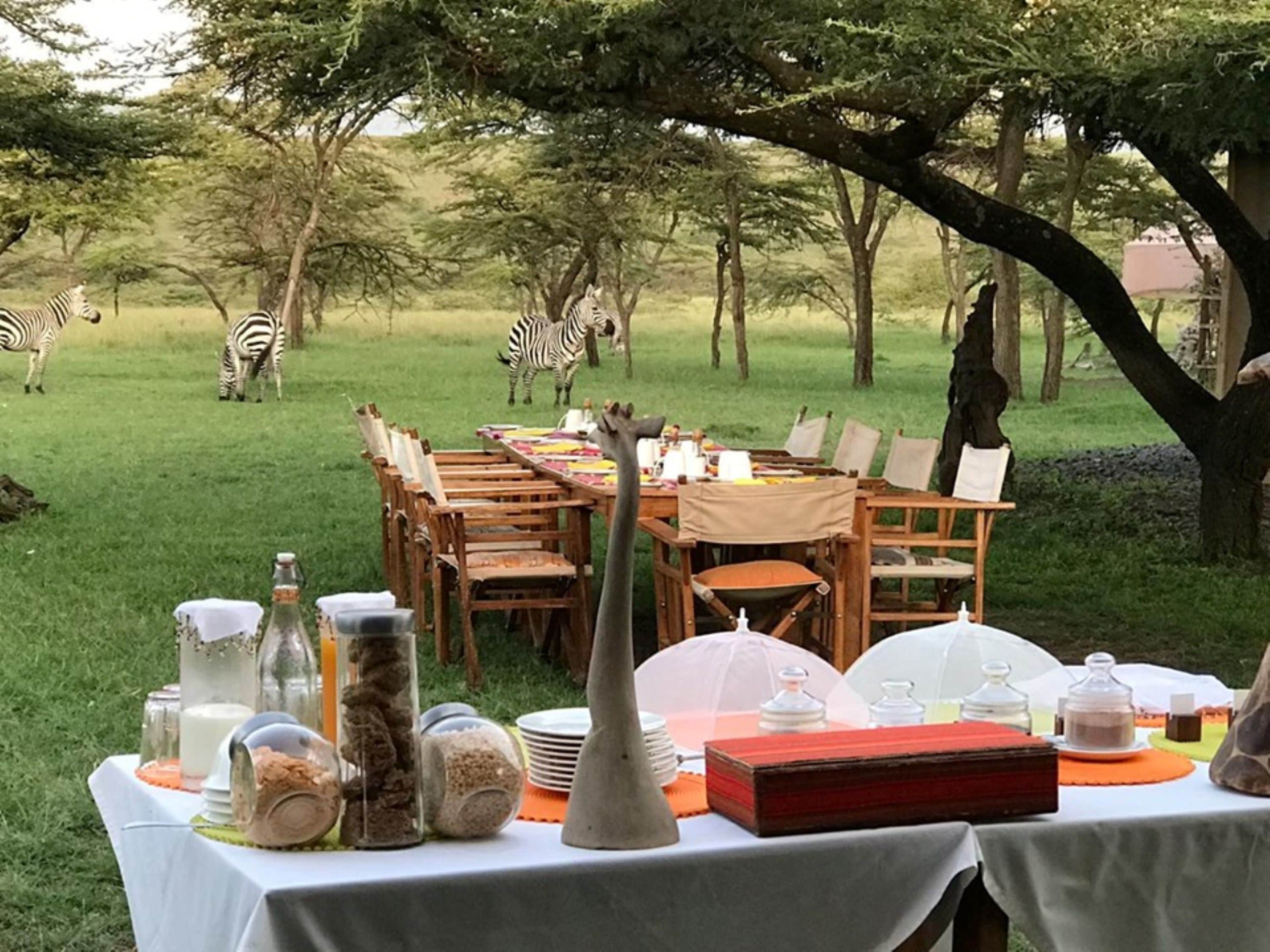 An outdoor dining setup with a table set for a meal, surrounded by trees and zebras in the background.