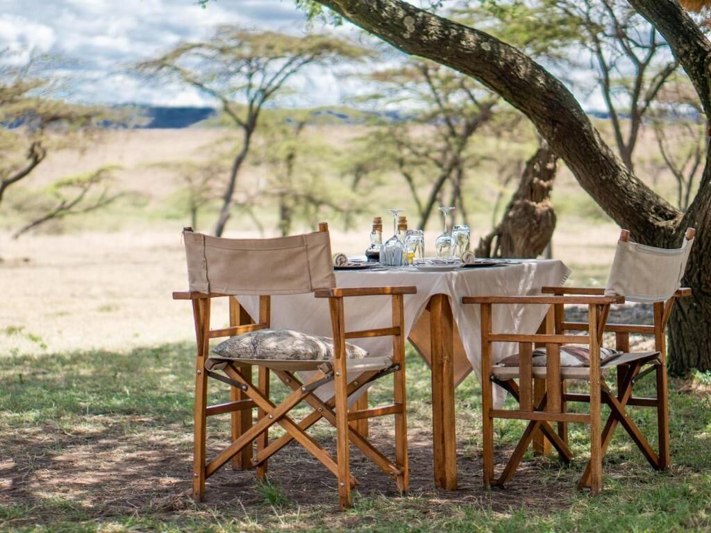 An outdoor dining setup with a table and chairs under a tree, surrounded by a natural landscape.