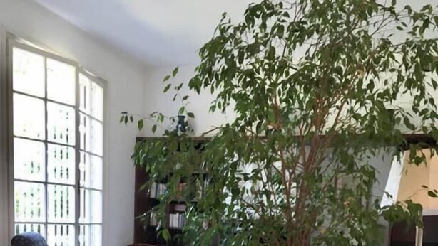 Unclassified image, 1 of 27, button - B&B Le Magnolie (Carimate)