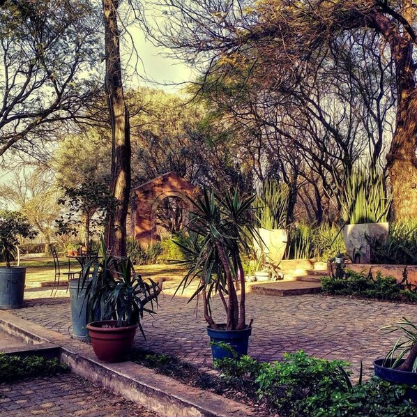 Jardín