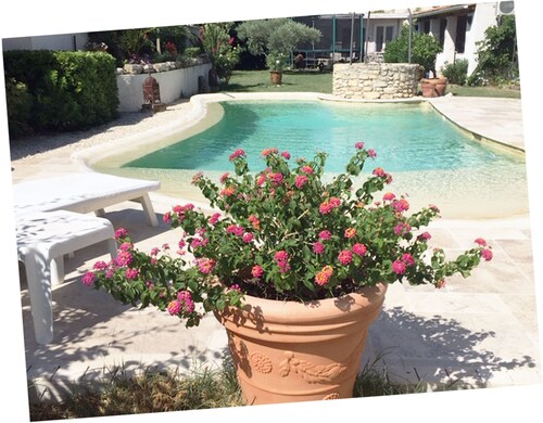 Cozy 2 room apartment with swimming pool (2/4 pers)