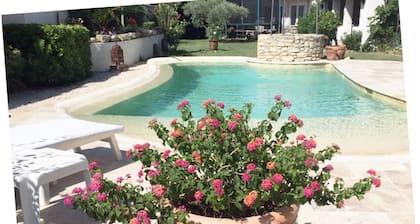 Cozy 2 room apartment with swimming pool (2/4 pers)