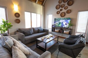 TV connectée, Netflix