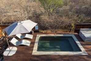 Outdoor pool, pool loungers - Ntoma House (Hoedspruit)