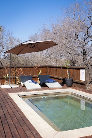 Outdoor pool, pool loungers