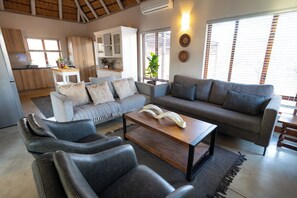 TV connectée, Netflix