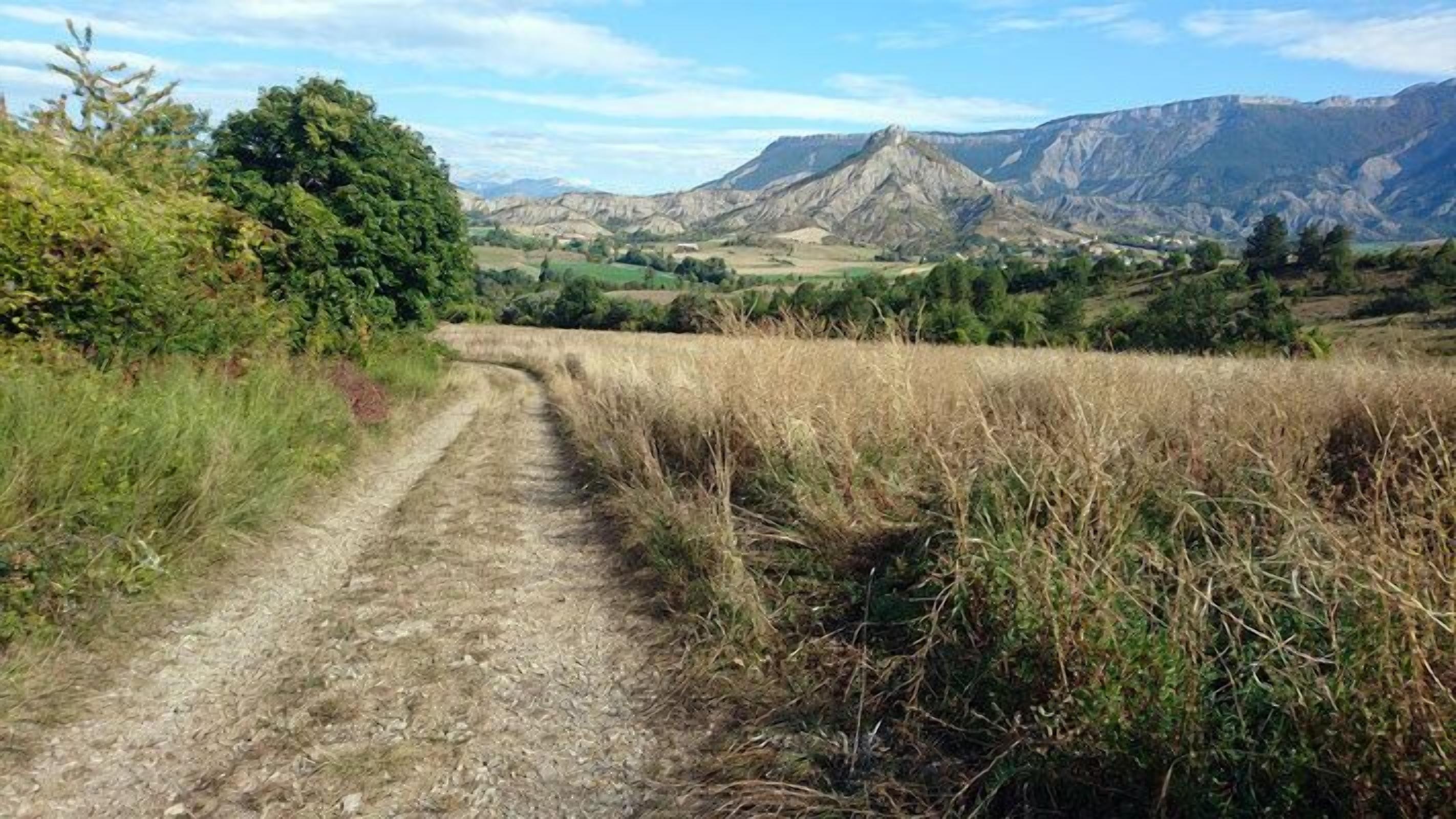 A dirt path leading through a field with mountains in the background.