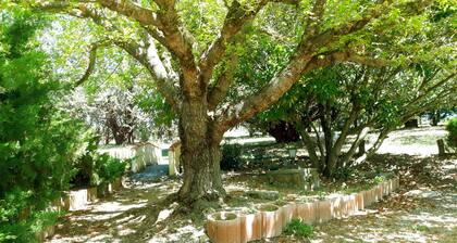 Le Moulin d'Aimee