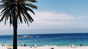 A beach with a palm tree, clear blue sky, and ocean. - Windsor House (Cape Town)