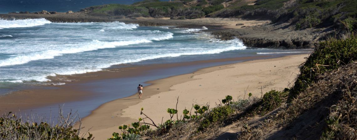 A beach with a person walking along the shore, surrounded by vegetation and rocky terrain.
