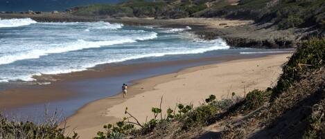 A beach with a person walking along the shore, surrounded by vegetation and rocky terrain.