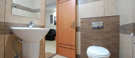A bathroom with a sink, toilet, and a mirror.
