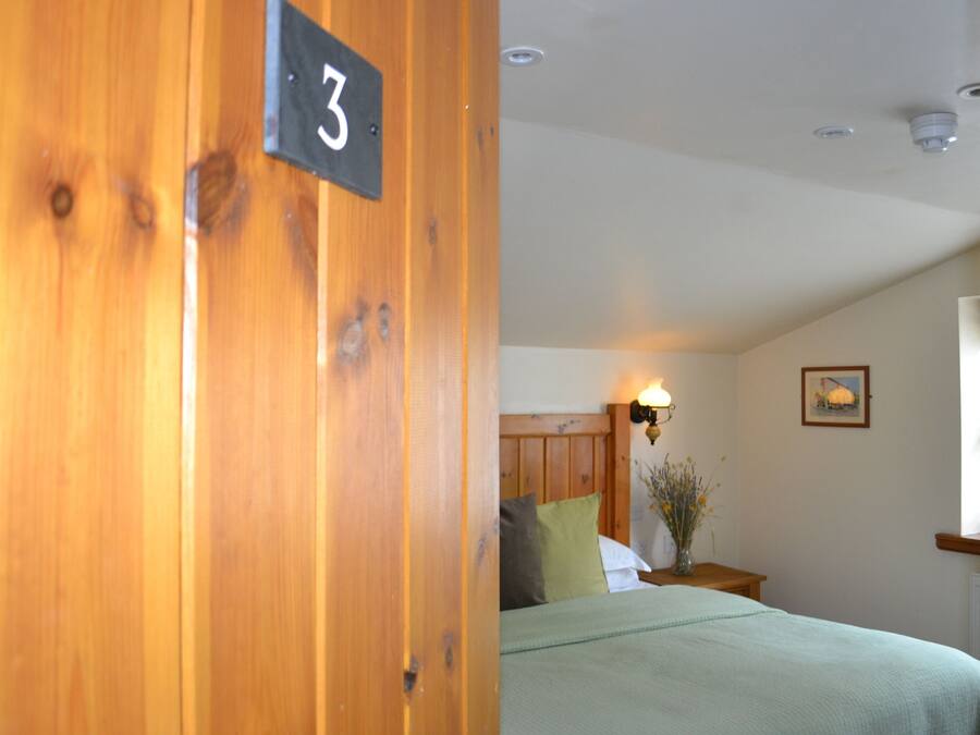 A room with a wooden door marked with the number 3, a bed with a green bedspread, a nightstand with a vase of flowers, and a wall-mounted lamp.