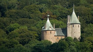 Eine Burg mit zwei Türmen, umgeben von dichtem Wald.