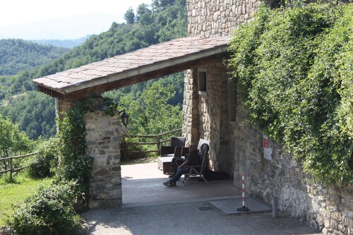 Le Chianine dei Tognoli