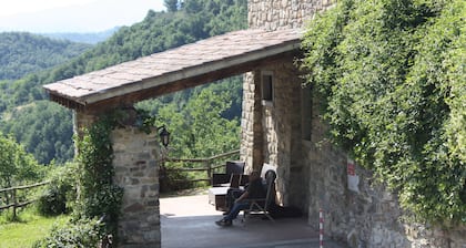 Le Chianine dei Tognoli