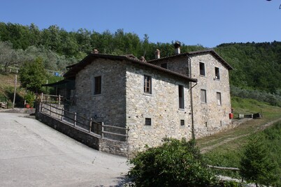 Le Chianine dei Tognoli