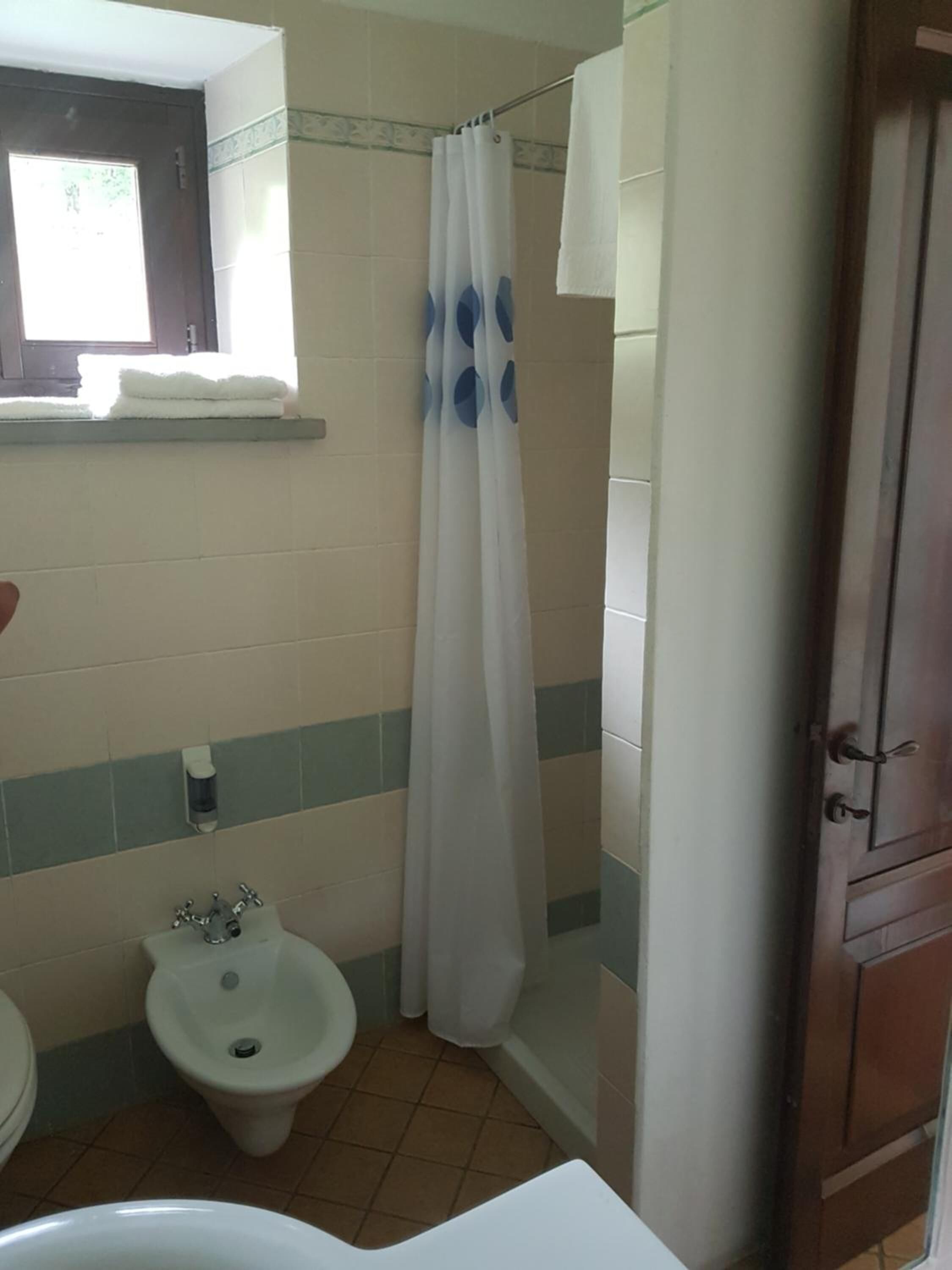 A bathroom with a bidet, a shower curtain, and a toilet.