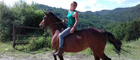Una persona montando a caballo por un sendero de tierra con una cerca de madera y vegetación al fondo.
